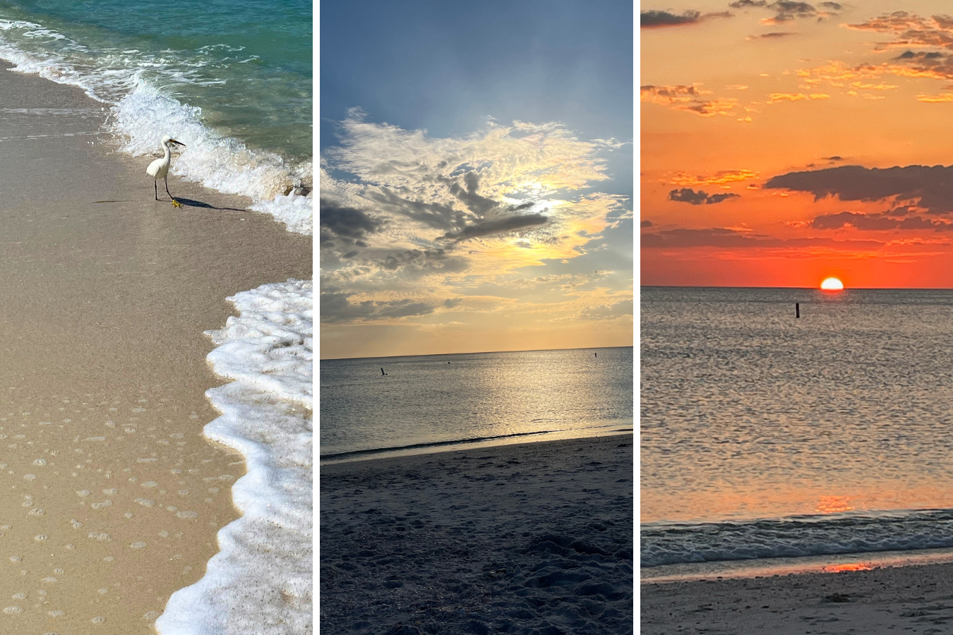 Three photos of bonita beach: white bird on shoreline, beach at dusk, water at sunset with orange sky.